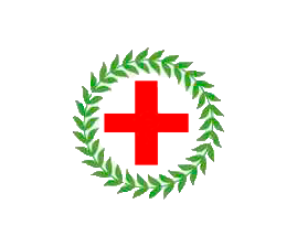 фото: логотип городской клинической больницы скорой медицинской помощи (БСМП)